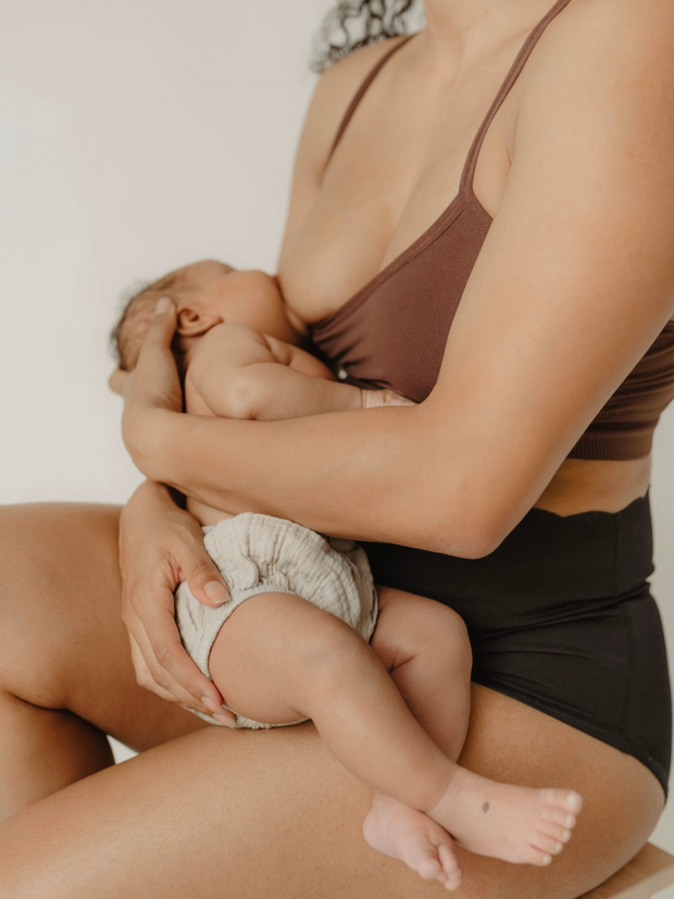 Adore Maternity & Nursing Bralette - Shell – Bao Bei Body